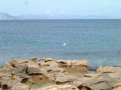 DSCF0114.JPG